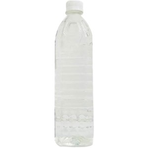 گلاب معمولی