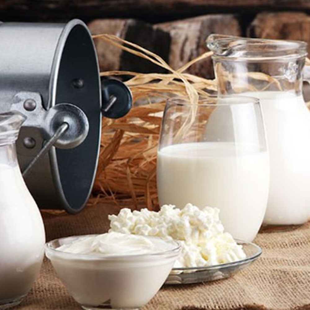 🧈 طرز تهیه و مزایای لبنیات خانگی